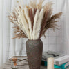 Phragmites Dried Flowers Bouquet - TheWellBeing4All