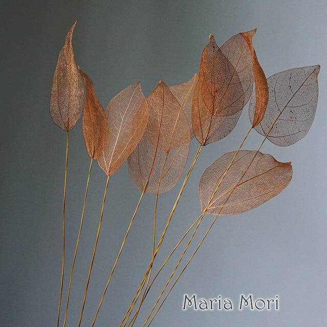 Lucency Leaves Natural Leaf Vein Immortal Flowers  Real Natural Floral Wedding Table Decoration - TheWellBeing4All