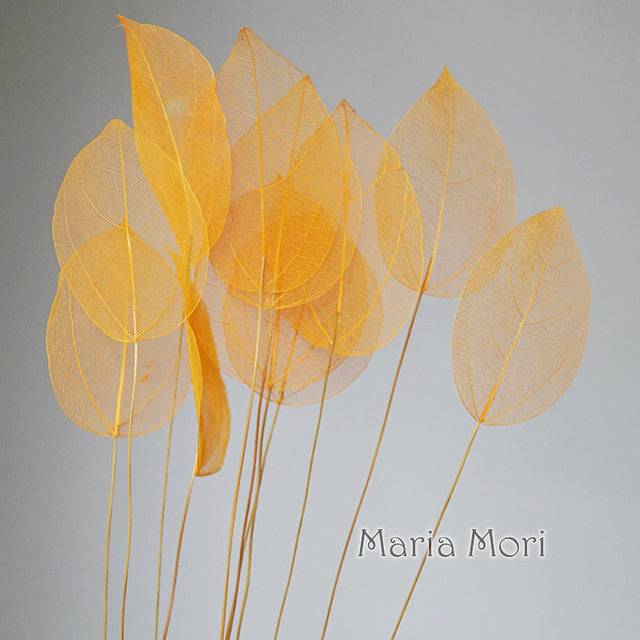 Lucency Leaves Natural Leaf Vein Immortal Flowers  Real Natural Floral Wedding Table Decoration - TheWellBeing4All