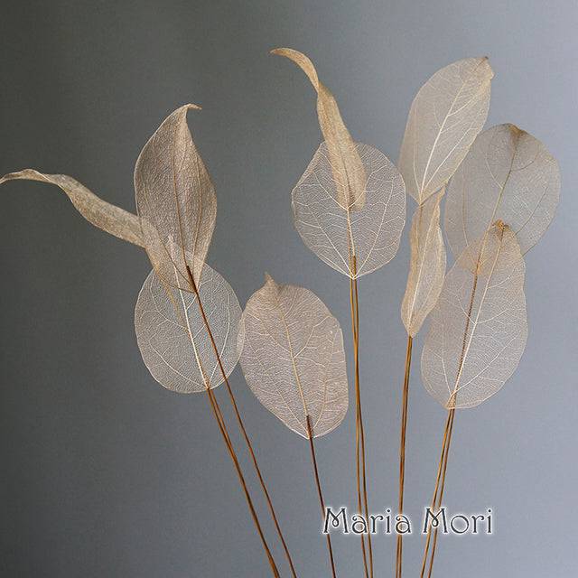 Lucency Leaves Natural Leaf Vein Immortal Flowers  Real Natural Floral Wedding Table Decoration - TheWellBeing4All