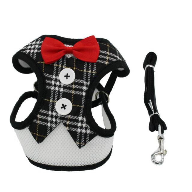 Puppy Cat Harness and Leash Set Breathable Pet Harness Vest For Small Dogs Rabbits Mesh Dress Bow Chest Belt Collar Chihuahua - TheWellBeing4All
