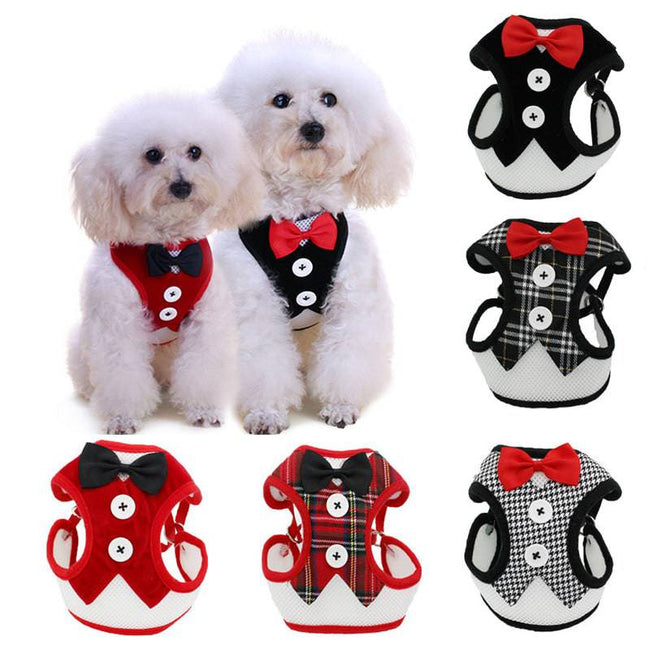 Puppy Cat Harness and Leash Set Breathable Pet Harness Vest For Small Dogs Rabbits Mesh Dress Bow Chest Belt Collar Chihuahua - TheWellBeing4All