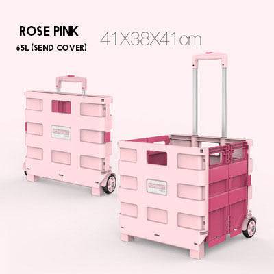 Multifunction  Folding cart and Storage Baskets - TheWellBeing4All