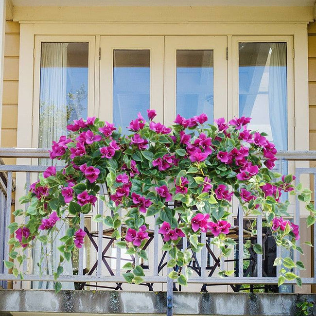 Hanging Artificial Silk Morning Glory Imitation Flower Vine Wedding Garden Decor Fake Plant Vibrantly Color Flower Wall Decor - TheWellBeing4All