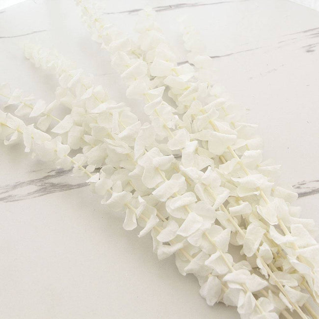 Natural Eucalyptus Leaf Dried Flowers Bouquet Boho Home Decor Dry Eucalyptus Flower 10 pcs - TheWellBeing4All