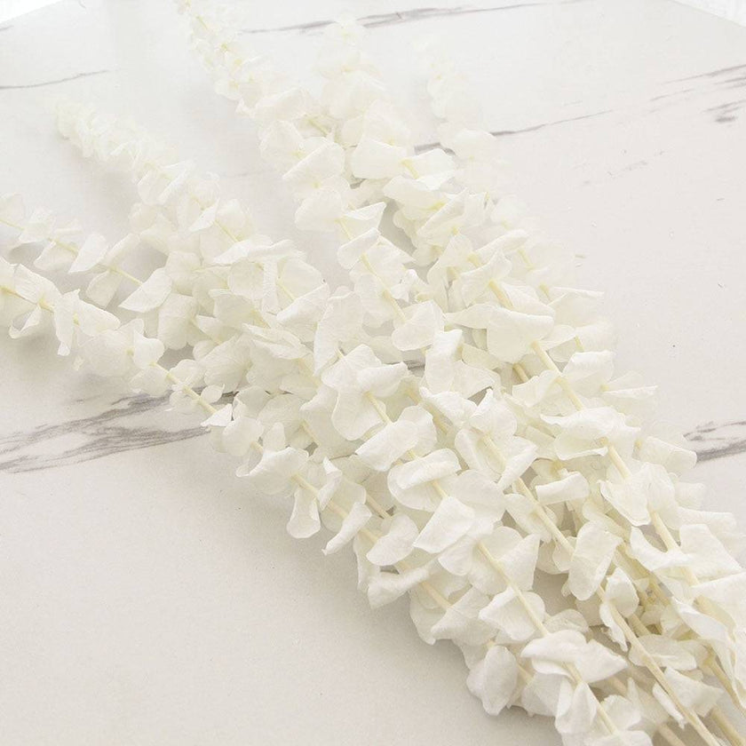 Natural Eucalyptus Leaf Dried Flowers Bouquet Boho Home Decor Dry Eucalyptus Flower 10 pcs - TheWellBeing4All