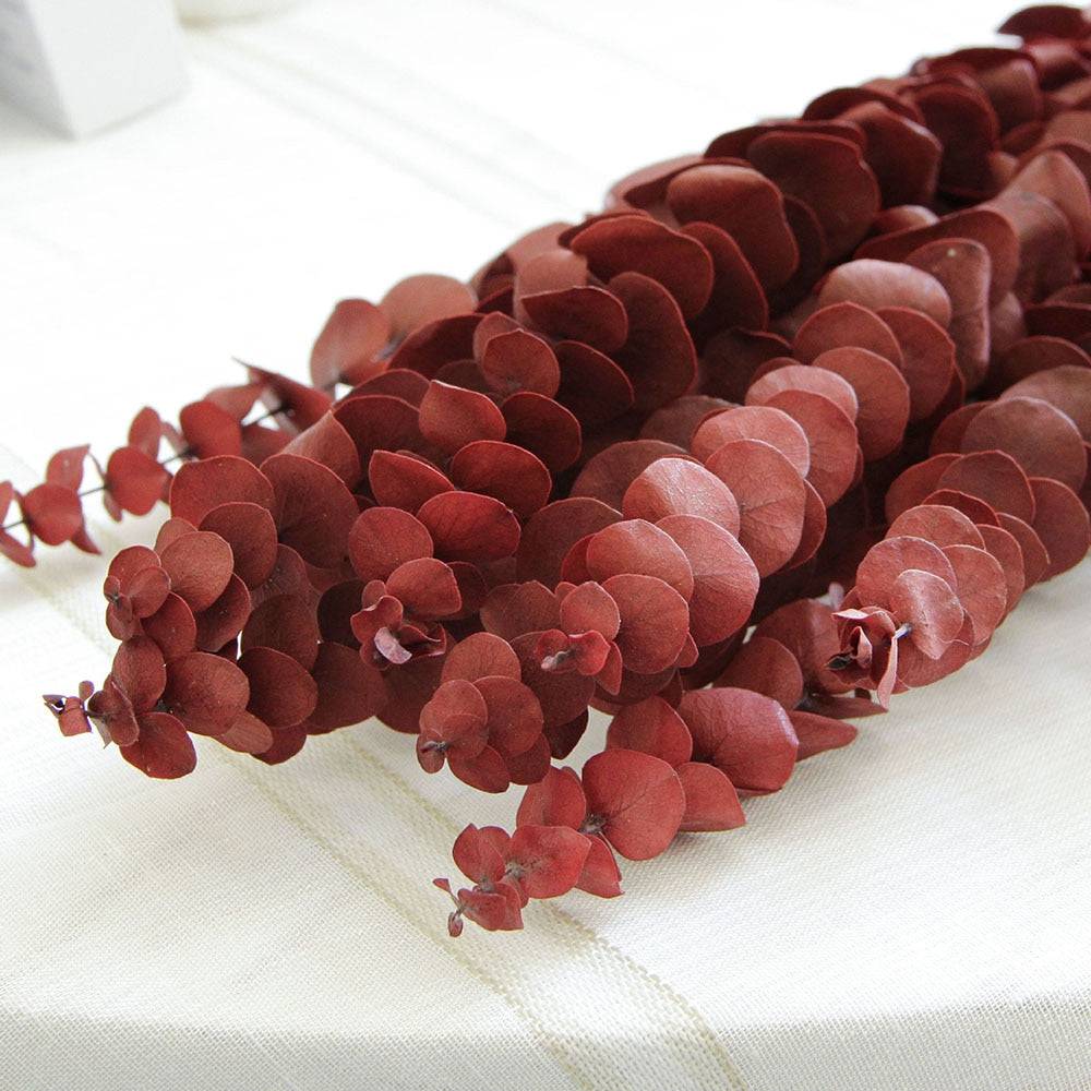 Natural Eucalyptus Leaf Dried Flowers Bouquet Boho Home Decor Dry Eucalyptus Flower 10 pcs - TheWellBeing4All