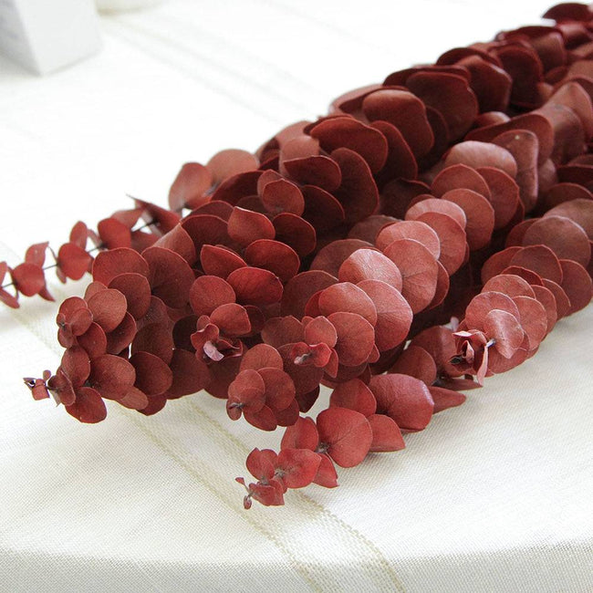 Natural Eucalyptus Leaf Dried Flowers Bouquet Boho Home Decor Dry Eucalyptus Flower 10 pcs - TheWellBeing4All