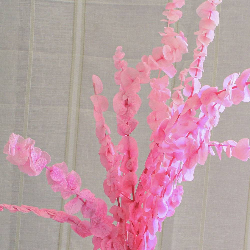 Natural Eucalyptus Leaf Dried Flowers Bouquet Boho Home Decor Dry Eucalyptus Flower 10 pcs - TheWellBeing4All