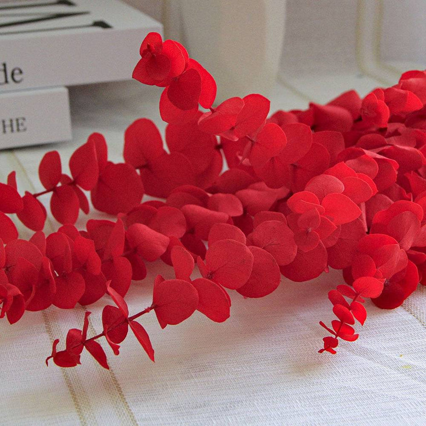 Natural Eucalyptus Leaf Dried Flowers Bouquet Boho Home Decor Dry Eucalyptus Flower 10 pcs - TheWellBeing4All