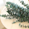 Natural Eucalyptus Leaf Dried Flowers Bouquet Boho Home Decor Dry Eucalyptus Flower 10 pcs - TheWellBeing4All