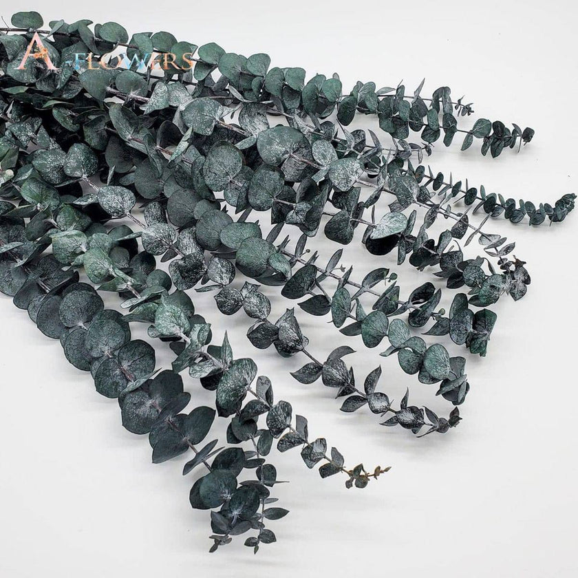 Natural Eucalyptus Leaf Dried Flowers Bouquet Boho Home Decor Dry Eucalyptus Flower 10 pcs - TheWellBeing4All