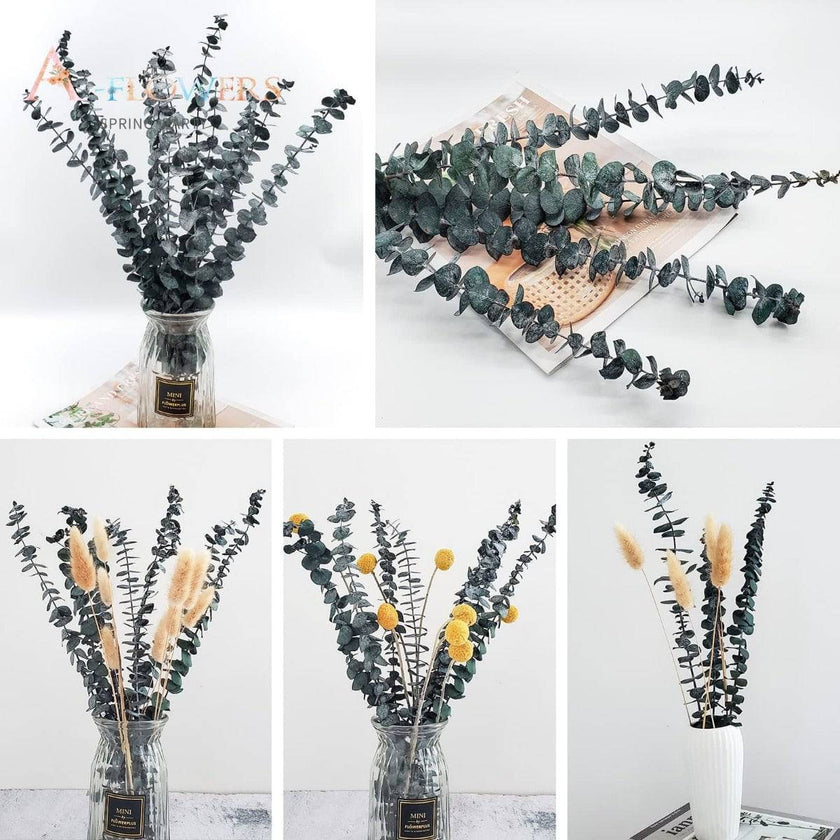 Natural Eucalyptus Leaf Dried Flowers Bouquet Boho Home Decor Dry Eucalyptus Flower 10 pcs - TheWellBeing4All