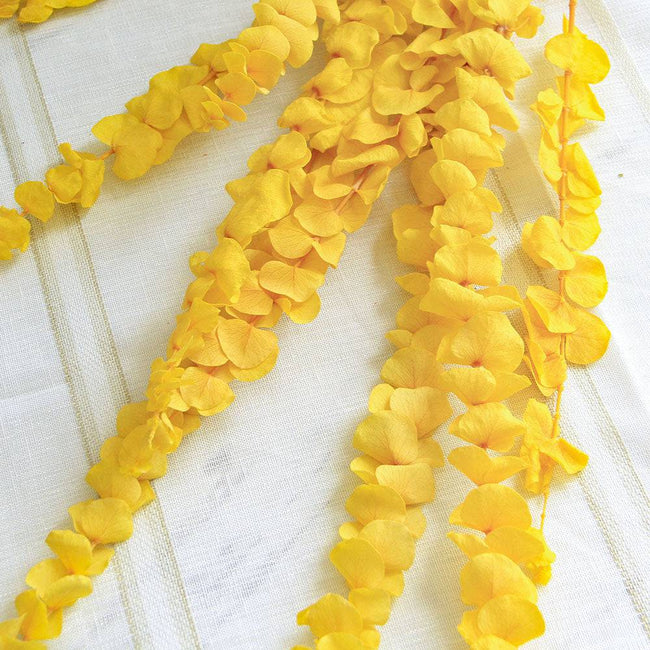 Natural Eucalyptus Leaf Dried Flowers Bouquet Boho Home Decor Dry Eucalyptus Flower 10 pcs - TheWellBeing4All