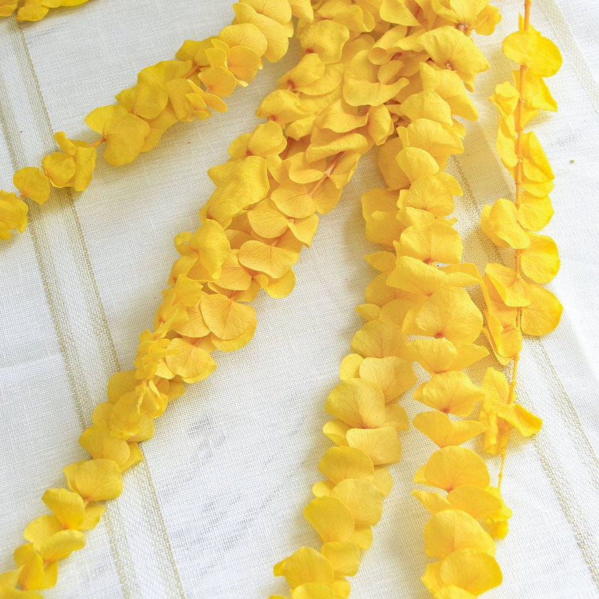 Natural Eucalyptus Leaf Dried Flowers Bouquet Boho Home Decor Dry Eucalyptus Flower 10 pcs - TheWellBeing4All