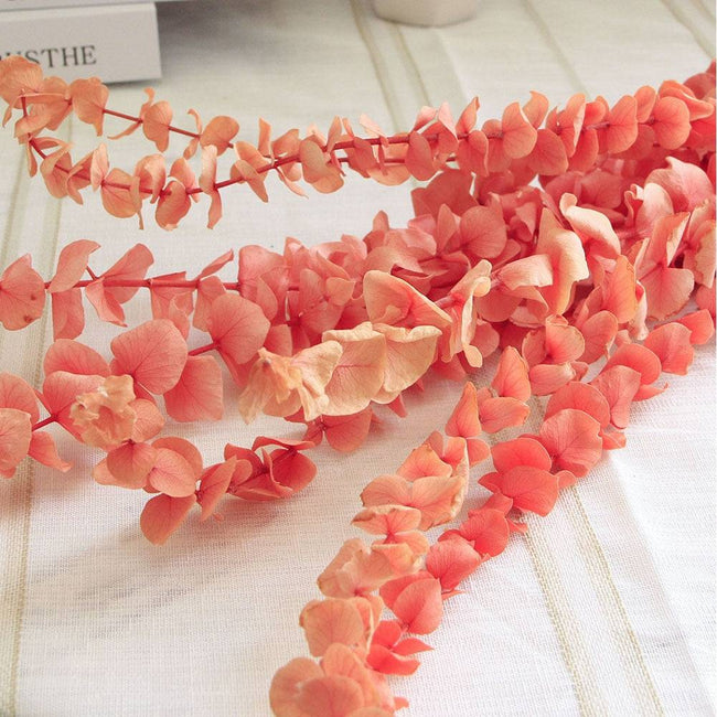 Natural Eucalyptus Leaf Dried Flowers Bouquet Boho Home Decor Dry Eucalyptus Flower 10 pcs - TheWellBeing4All