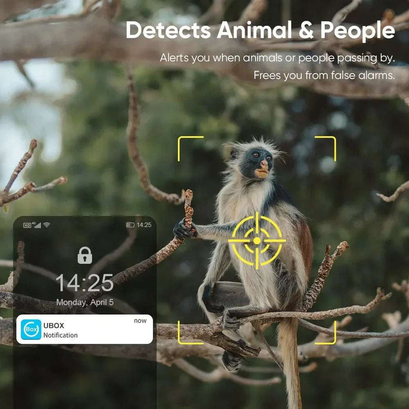 Solar-Powered 4G WiFi Outdoor Security Camera with 360° Pan, Tilt, & Zoom | IP66 Waterproof | Color Night Vision | Two-Way Audio