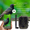 Suntekcam 4G HD Live Video Trail Camera – 50MP 4K Wireless with APP Control & Cloud Service