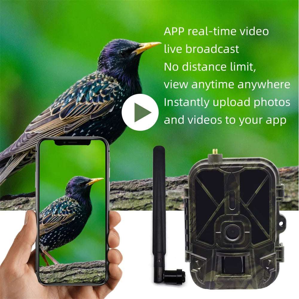 Suntekcam 4G HD Live Video Trail Camera – 50MP 4K Wireless with APP Control & Cloud Service