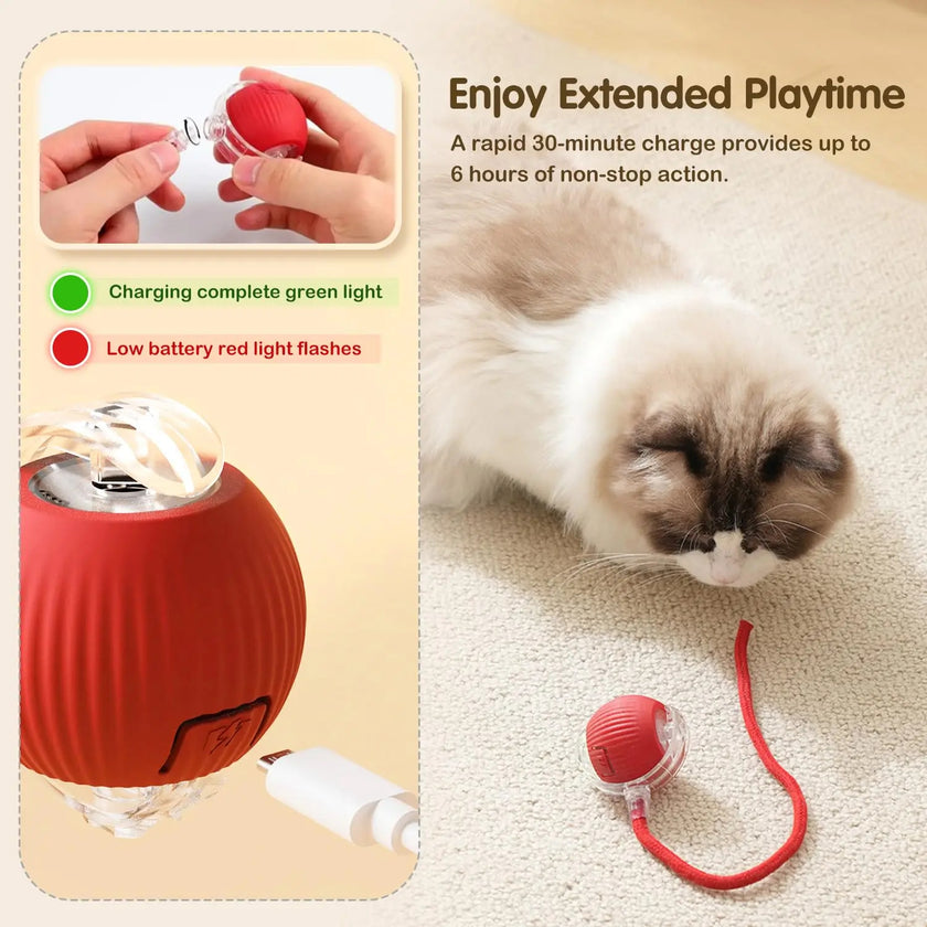 Automatic Cat & Puppy Ball Toy – Smart Obstacle-Avoidance, USB Rechargeable, 3 Play Modes - TheWellBeing4All