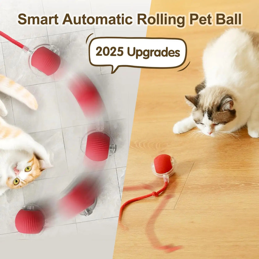 Automatic Cat & Puppy Ball Toy – Smart Obstacle-Avoidance, USB Rechargeable, 3 Play Modes - TheWellBeing4All