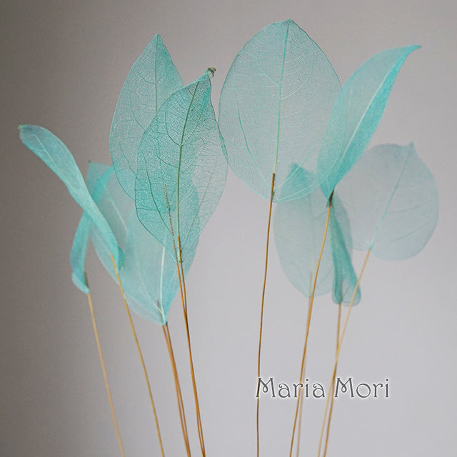 Lucency Leaves Natural Leaf Vein Immortal Flowers Real Natural Floral Wedding Table Decoration - The Well Being The Well Being Light blue / 10pcs(35-50cm) Ludovick-TMB Lucency Leaves Natural Leaf Vein Immortal Flowers Real Natural Floral Wedding Table Decoration