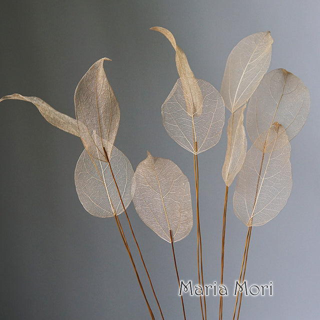 Lucency Leaves Natural Leaf Vein Immortal Flowers Real Natural Floral Wedding Table Decoration - The Well Being The Well Being Champagne / 10pcs(35-50cm) Ludovick-TMB Lucency Leaves Natural Leaf Vein Immortal Flowers Real Natural Floral Wedding Table Decoration