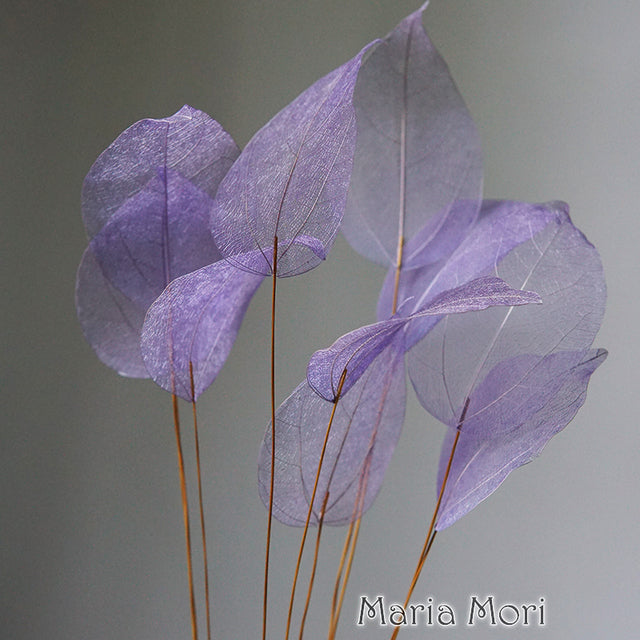 Lucency Leaves Natural Leaf Vein Immortal Flowers Real Natural Floral Wedding Table Decoration - The Well Being The Well Being Light purple / 10pcs(35-50cm) Ludovick-TMB Lucency Leaves Natural Leaf Vein Immortal Flowers Real Natural Floral Wedding Table Decoration