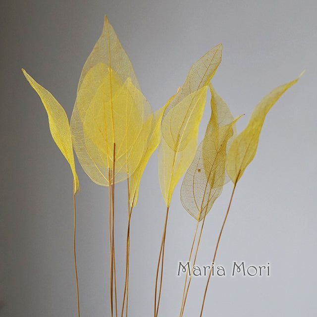 Lucency Leaves Natural Leaf Vein Immortal Flowers Real Natural Floral Wedding Table Decoration - The Well Being The Well Being Yellow / 10pcs(35-50cm) Ludovick-TMB Lucency Leaves Natural Leaf Vein Immortal Flowers Real Natural Floral Wedding Table Decoration