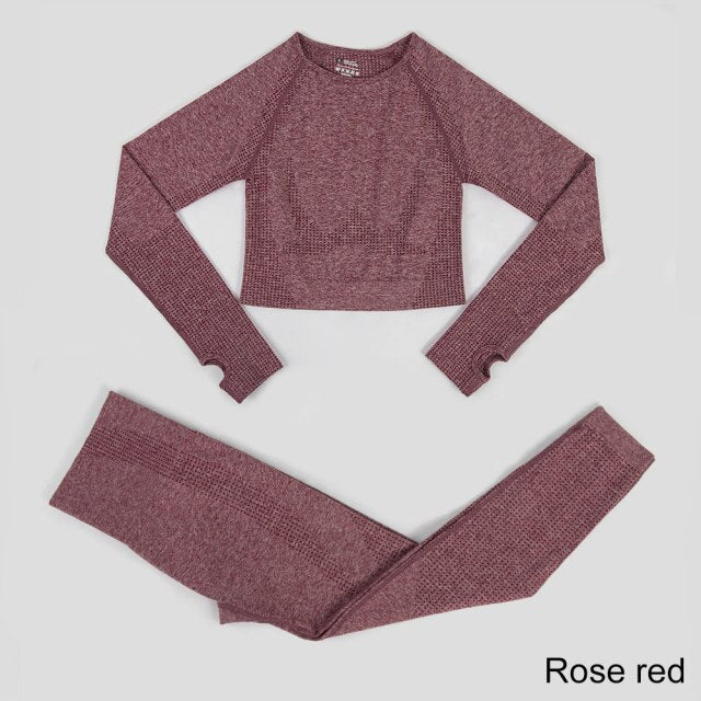 Seamless Yoga Set Workout Sportswear Gym Clothing Fitness High Waist Leggings Long Sleeve Crop Top Sports Suits - The Well Being The Well Being Ludovick-TMB Seamless Yoga Set Workout Sportswear Gym Clothing Fitness High Waist Leggings Long Sleeve Crop Top Sports Suits