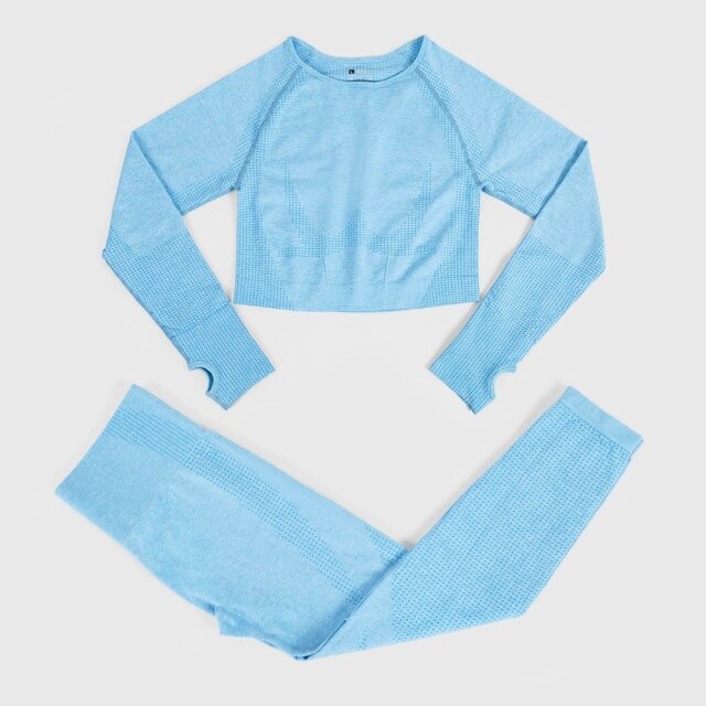 Seamless Yoga Set Workout Sportswear Gym Clothing Fitness High Waist Leggings Long Sleeve Crop Top Sports Suits - The Well Being The Well Being Ludovick-TMB Seamless Yoga Set Workout Sportswear Gym Clothing Fitness High Waist Leggings Long Sleeve Crop Top Sports Suits