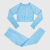 Seamless Yoga Set Workout Sportswear Gym Clothing Fitness High Waist Leggings Long Sleeve Crop Top Sports Suits - The Well Being The Well Being Ludovick-TMB Seamless Yoga Set Workout Sportswear Gym Clothing Fitness High Waist Leggings Long Sleeve Crop Top Sports Suits