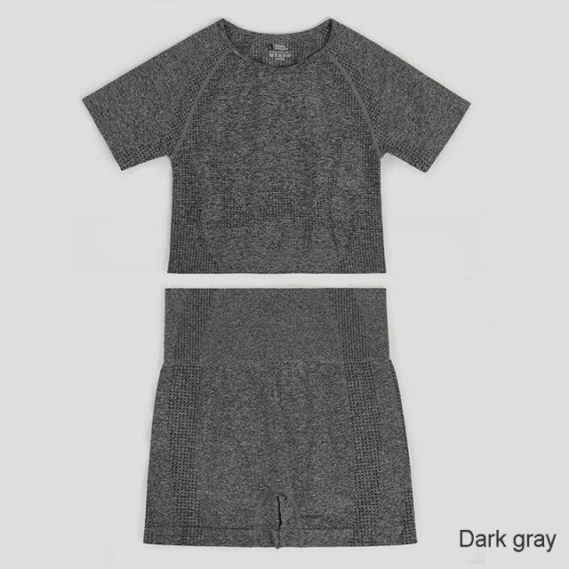 Seamless Yoga Set Workout Sportswear Gym Clothing Fitness High Waist Leggings Long Sleeve Crop Top Sports Suits - The Well Being The Well Being Ludovick-TMB Seamless Yoga Set Workout Sportswear Gym Clothing Fitness High Waist Leggings Long Sleeve Crop Top Sports Suits