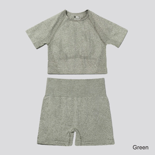 Seamless Yoga Set Workout Sportswear Gym Clothing Fitness High Waist Leggings Long Sleeve Crop Top Sports Suits - The Well Being The Well Being Ludovick-TMB Seamless Yoga Set Workout Sportswear Gym Clothing Fitness High Waist Leggings Long Sleeve Crop Top Sports Suits