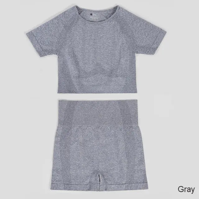 Seamless Yoga Set Workout Sportswear Gym Clothing Fitness High Waist Leggings Long Sleeve Crop Top Sports Suits - The Well Being The Well Being Ludovick-TMB Seamless Yoga Set Workout Sportswear Gym Clothing Fitness High Waist Leggings Long Sleeve Crop Top Sports Suits