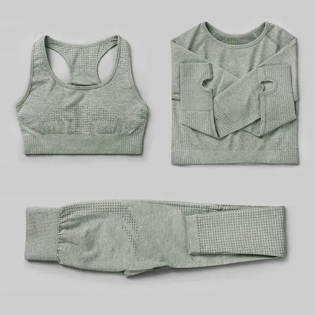 Seamless Yoga Set Workout Sportswear Gym Clothing Fitness High Waist Leggings Long Sleeve Crop Top Sports Suits - The Well Being The Well Being Ludovick-TMB Seamless Yoga Set Workout Sportswear Gym Clothing Fitness High Waist Leggings Long Sleeve Crop Top Sports Suits