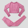 Seamless Yoga Set Workout Sportswear Gym Clothing Fitness High Waist Leggings Long Sleeve Crop Top Sports Suits - The Well Being The Well Being autumn set pink / S / Russian Federation Ludovick-TMB Seamless Yoga Set Workout Sportswear Gym Clothing Fitness High Waist Leggings Long Sleeve Crop Top Sports Suits