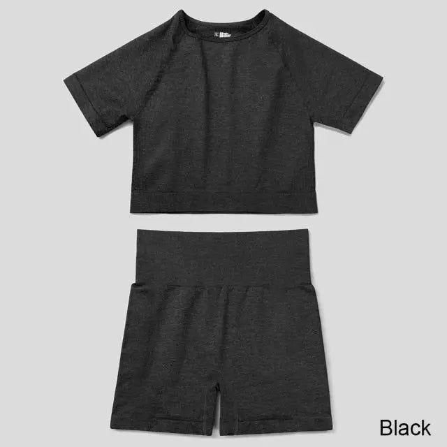 Seamless Yoga Set Workout Sportswear Gym Clothing Fitness High Waist Leggings Long Sleeve Crop Top Sports Suits - The Well Being The Well Being Ludovick-TMB Seamless Yoga Set Workout Sportswear Gym Clothing Fitness High Waist Leggings Long Sleeve Crop Top Sports Suits